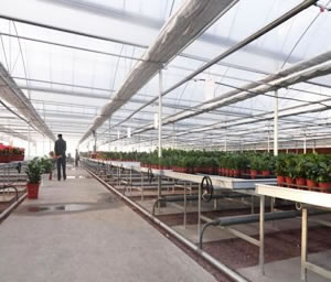 溫室花架網(wǎng)